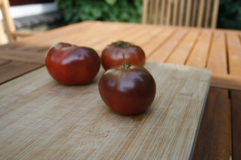 Black Krim tomaten review